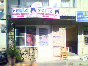 img0315a.jpg